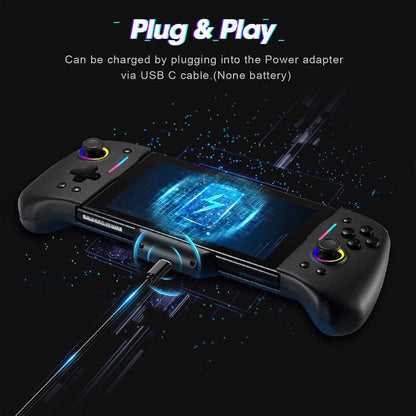 Wired Game Controller, BINBOK Switch Controller for Switch/Switch OLED with Handheld Grip RGB Double Motor Vibration Built-In 6-Axis Gyro Joystick